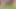 Stranger cum in me in the forest
