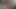 My very hard little boner having a lovely dry orgasm.