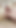 Edging bear cock, hairy man stroking penis