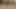 Travesti koca gezmeye çıkıyor, yürüyor ve topuklu ve çoraplı mastürbasyon yapıyor.