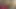 Külotlu çorap ve kadife elbiseli sarışın ayaklarını gösteriyor