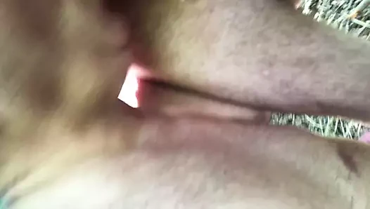 Sucking two cocks