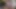 Lubed up my cock with my saved cum again