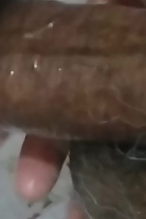 Called Stepsister-in-law and Massaged My Penis