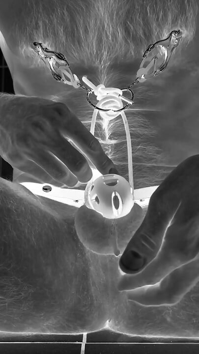 Multiple ruined orgasms in chastity cage with 30cm long penis plug