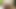 Youtuber cum tribute