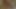 Gangstazz masturbating wid a porn video wit vibrator