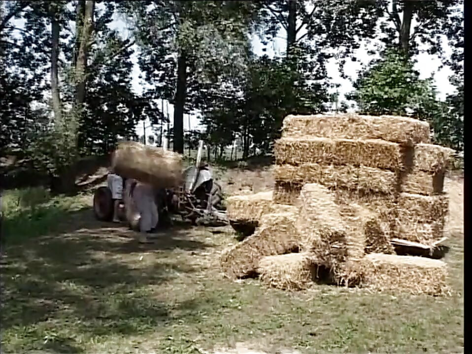 Wild Gangbang Outdoor for a Sexy Blonde