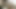 ムラムラしたビッチがワイルドになる