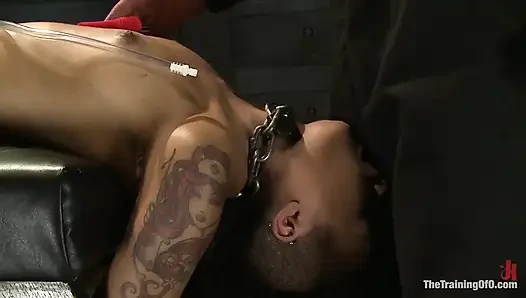 Skin Diamond day üç köle fidye cinsel eğitimi
