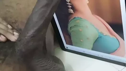 Shivani döl haraç
