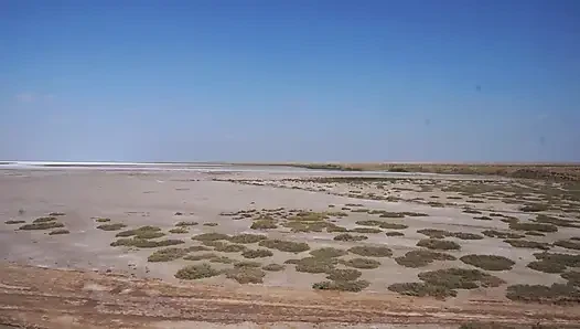 Белая соль пустыни