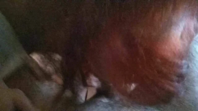 Shemale blowjob
