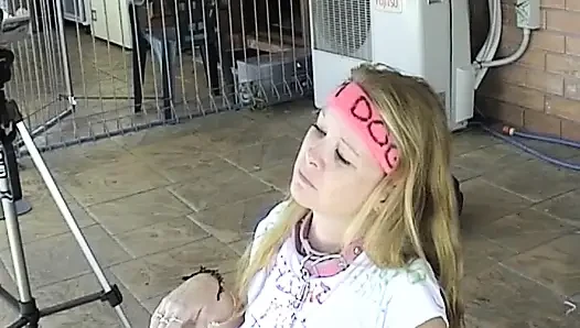 SHELLEY CUMDOG BARKS AND BEGS FOR CUM