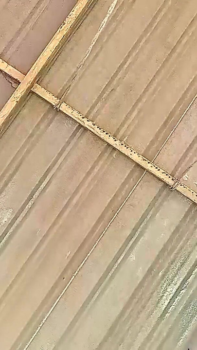 Beutiful lady swinging without panties on a swing outdoors. Slow motion 127 3 | Clip 2