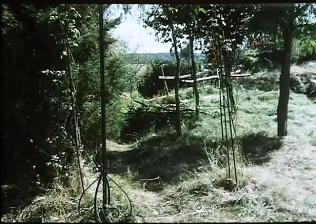 Die Flasche zum Ficken (1978) with Barbara Moose