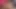 LIZENSIERT ZUM LECKEN - Carolyn Reese, liebt lesben