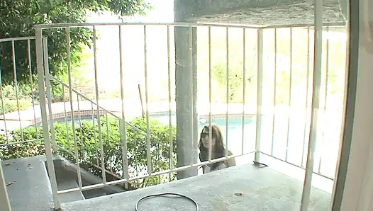 Ein dicker schwanz für die brünette schlampe