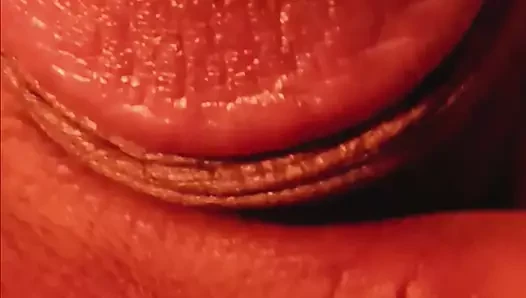 Bbig Dikk