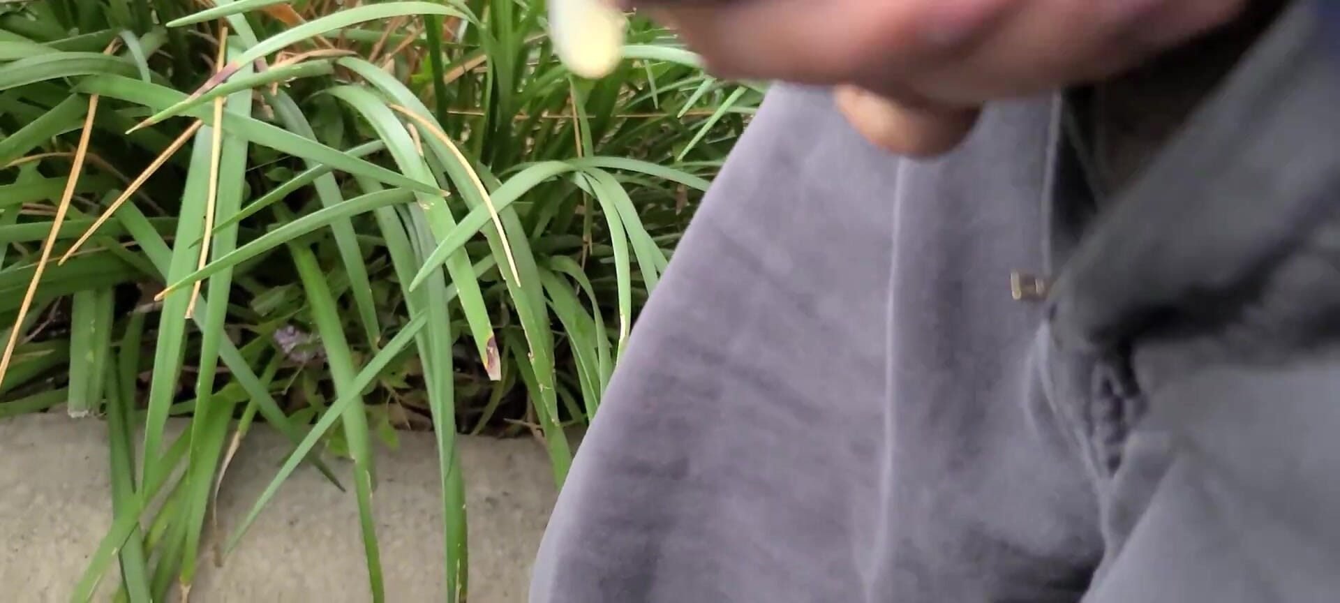 public cum