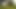 POV: 01 June 2024 Daddy Bears Have Fun Outdoors Part 2