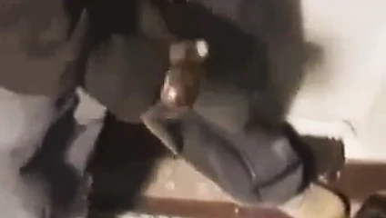 Siyah çekiç 022
