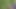 Super mushroom cock outdoor pissing closeup