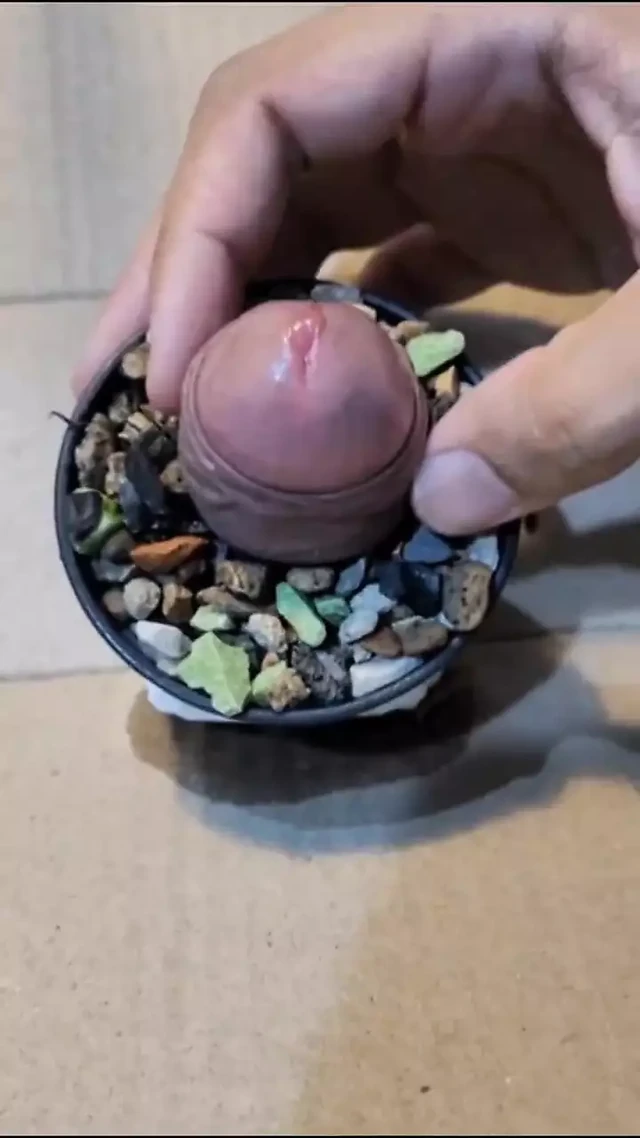 Flower dick with cumshot