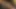 Gut aussehender celeste-star will freund cameron liebe mit einem dildo befriedigen