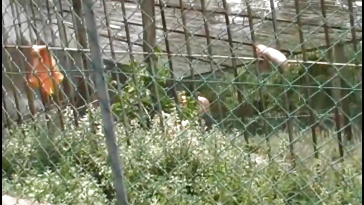 Kinky Neighbors: Pissing, Submission, Blowjobs, and Backyard Sex