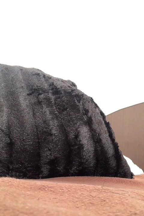 Menjolok pantat berminyak