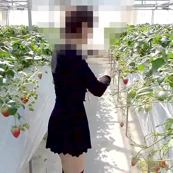 Mayu No.45: Strawberry Picking Exposure, Immediate Oral, Swallowing Specialization