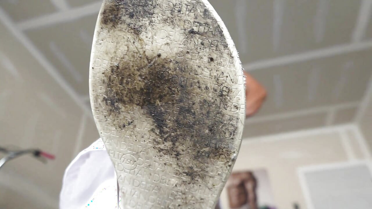 Clean My Disgusting Sandals!