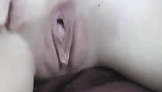 Lyndsay