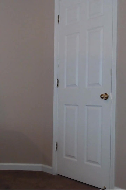 David's Strip N Ass Tease