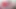 huge cock dirty talk and big cumshot
