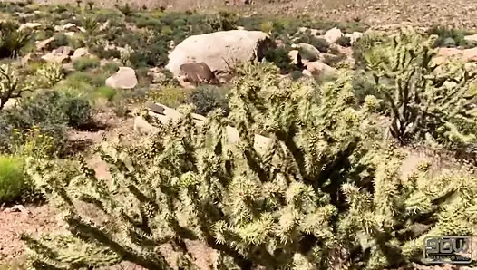Mendaki di thong dan bercinta di Red Rock Canyon.