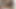 You are going to cum on command for me JOI