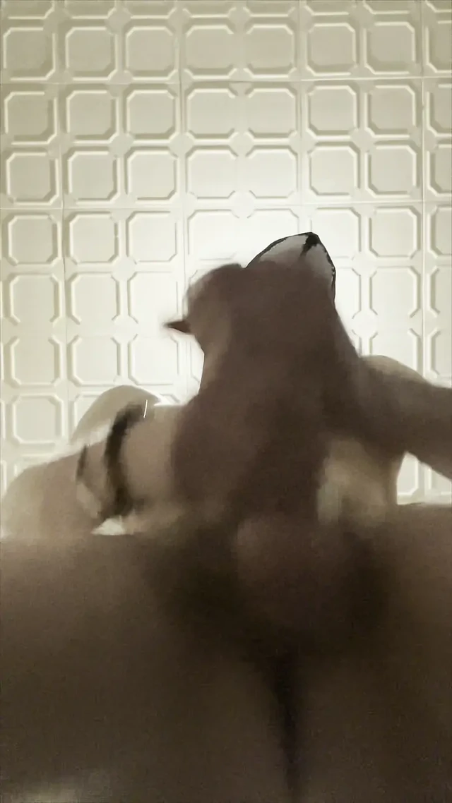 7 Inch (18cm) Hot Cock Owned by a Masked Slim Twink. Flashlight Intense Masturbation, Moaning.