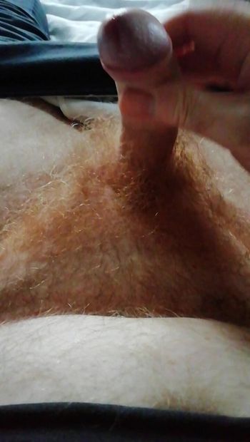 UKHairy Bear Quick wank On The Bed