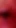 Powerful moment from "The most beautiful internal orgasm close-up! ASMR big cumshot!"