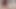 Hair Fetishist Boy Cheats on His Girlfriend in Front of Her with a Girl with a Hairy Pussy and Armpits