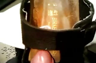 Video lama Birkenstock Arizona Fun