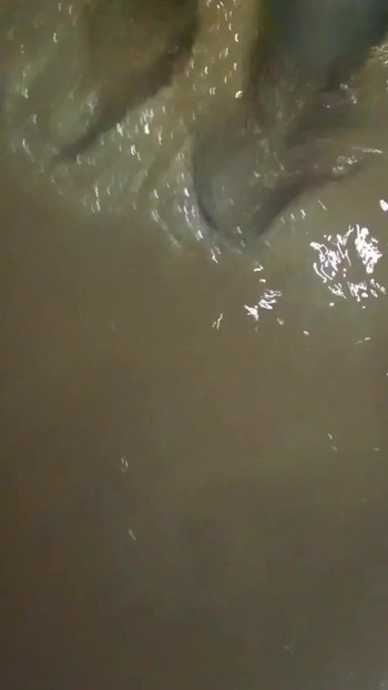 Jaw-dropping moment from "Cd outdoor pov mud walk and kiss in nylon pantyhose and leotard."