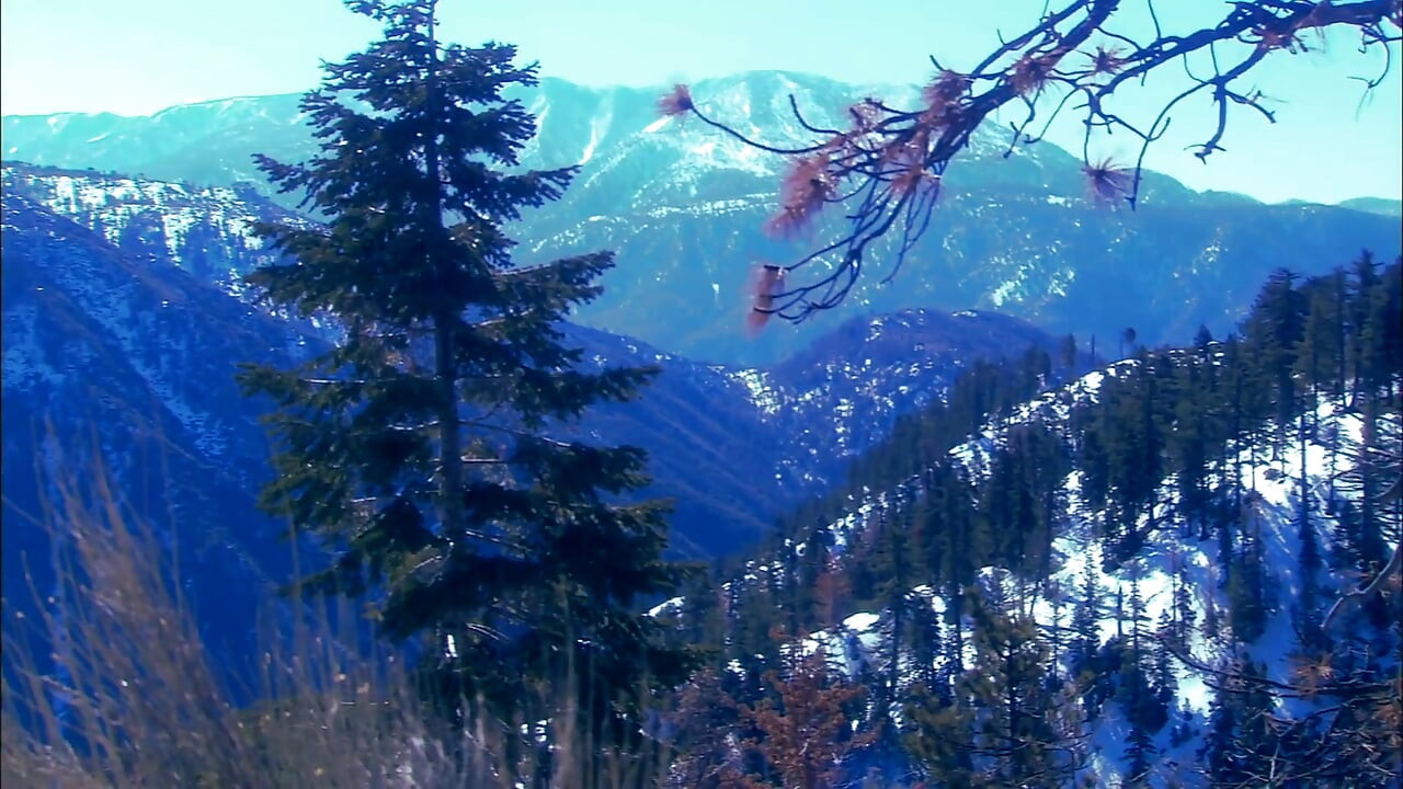 Hot and horny babe gets her pussy licked and slammed