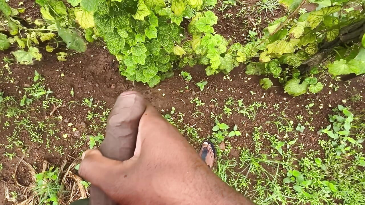 Selo quebrando foda da buceta virgem por meio-irmão