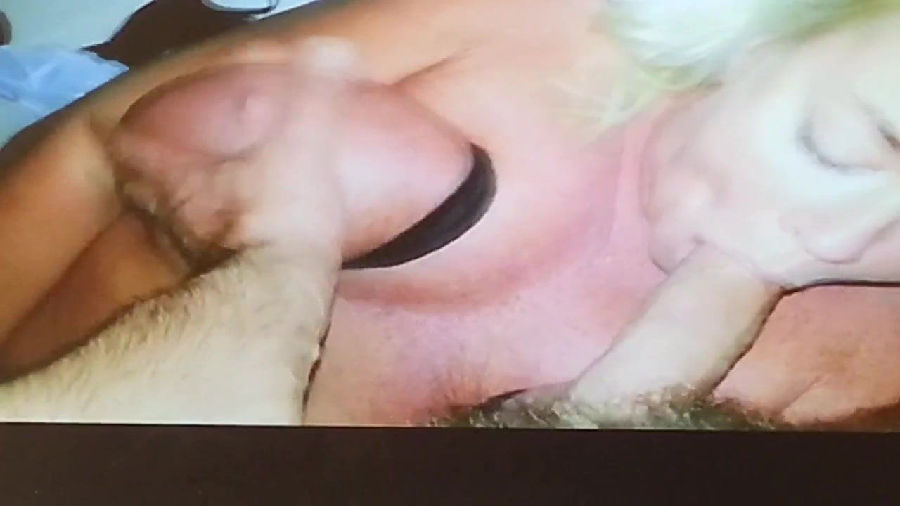 픽비에 수사우