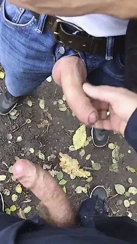 druzenje