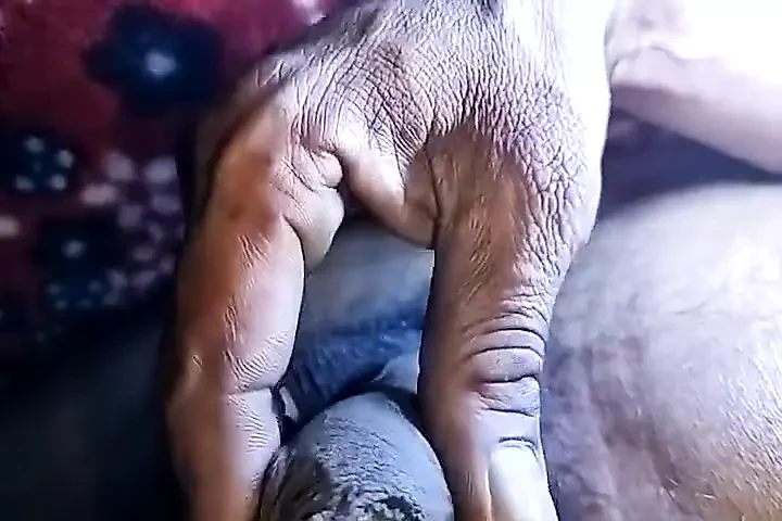 Bm Brilliant