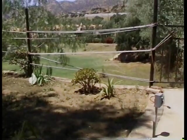 Slutty chick sucks and rides a cock at the park